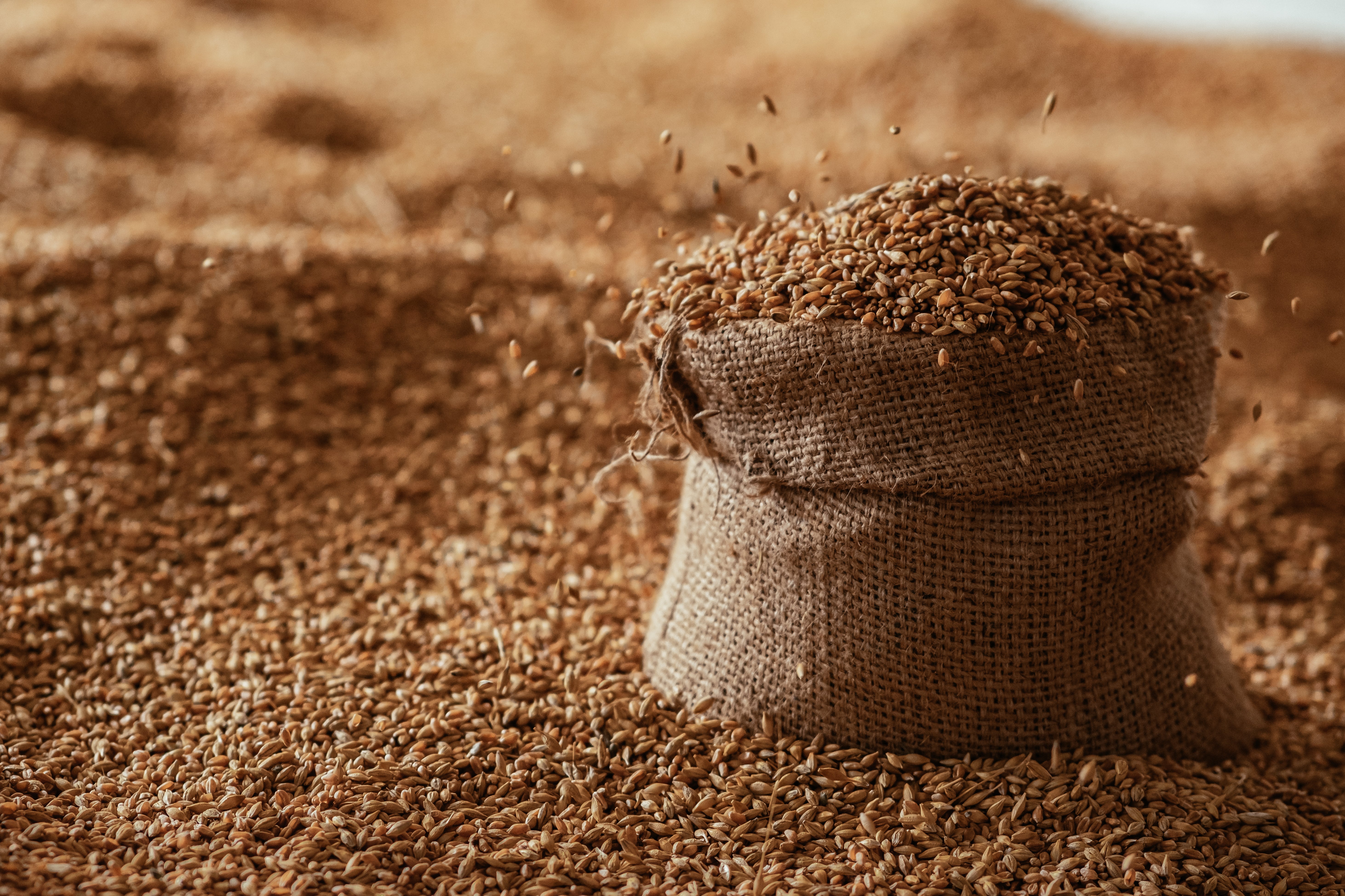 Is Khapli Atta Good for Diabetes? Blood Sugar  Glycemic Index Explained